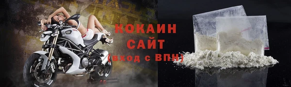 дживик Богданович