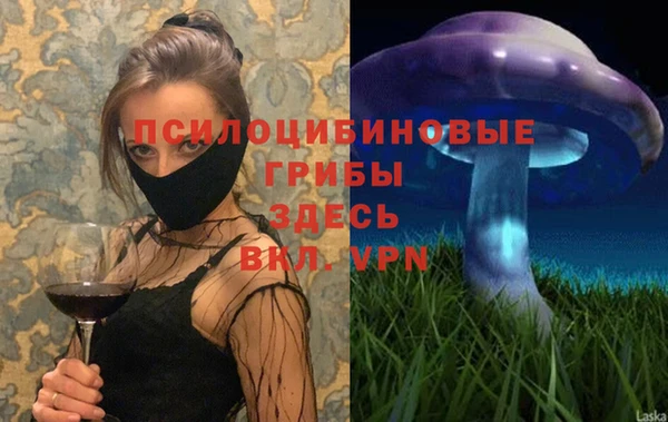 дживик Богданович