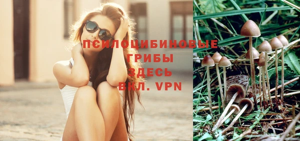 мет Богородицк
