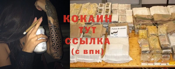 дживик Богданович