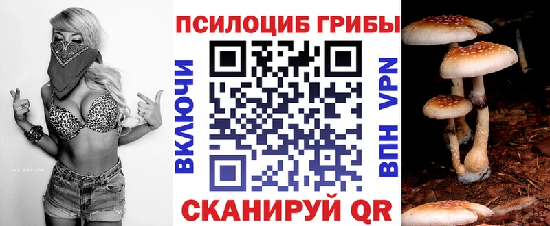 Галлюциногенные грибы GOLDEN TEACHER  Малая Вишера 